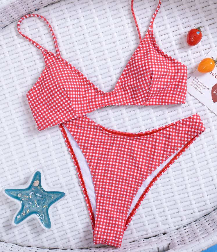 The Gingham Muse Two-Piece Bikini