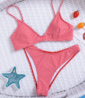 The Gingham Muse Two-Piece Bikini